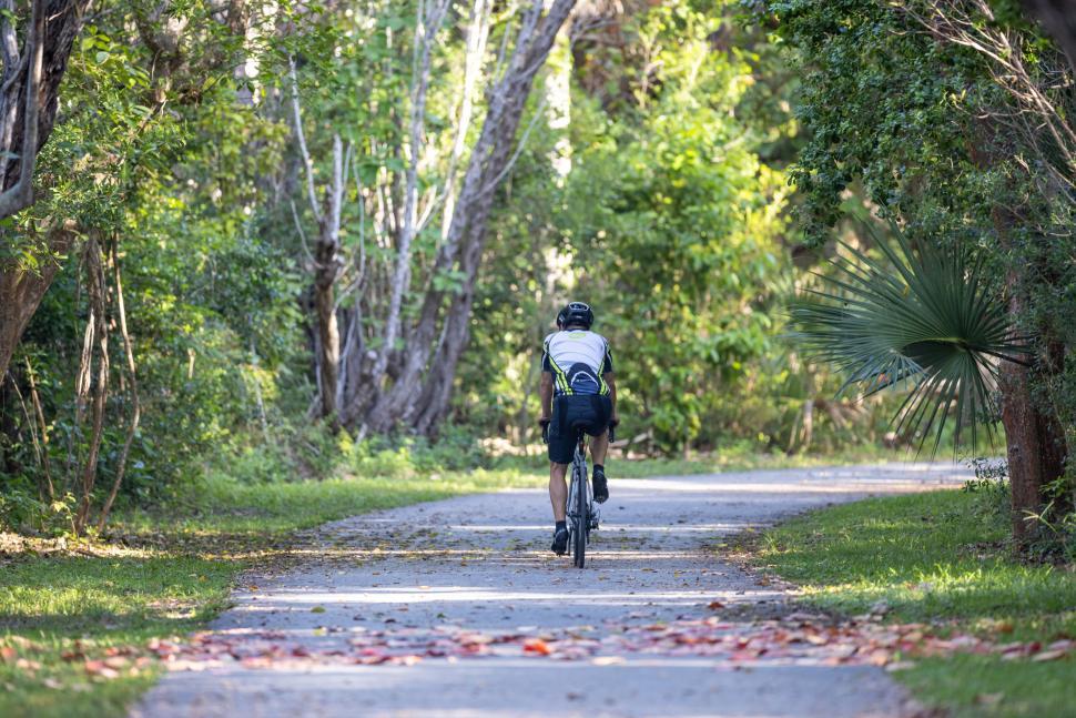 Free Image of Cyclist riding through a serene wooded path 