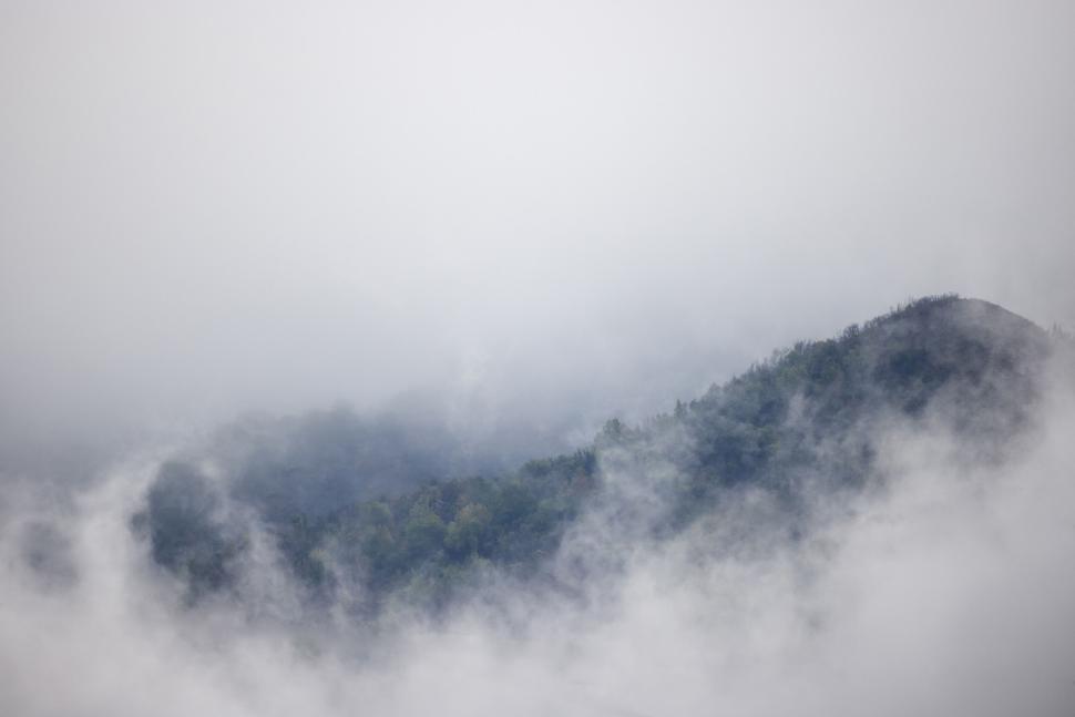 Free Image of Misty mountain forest with ethereal vibe 
