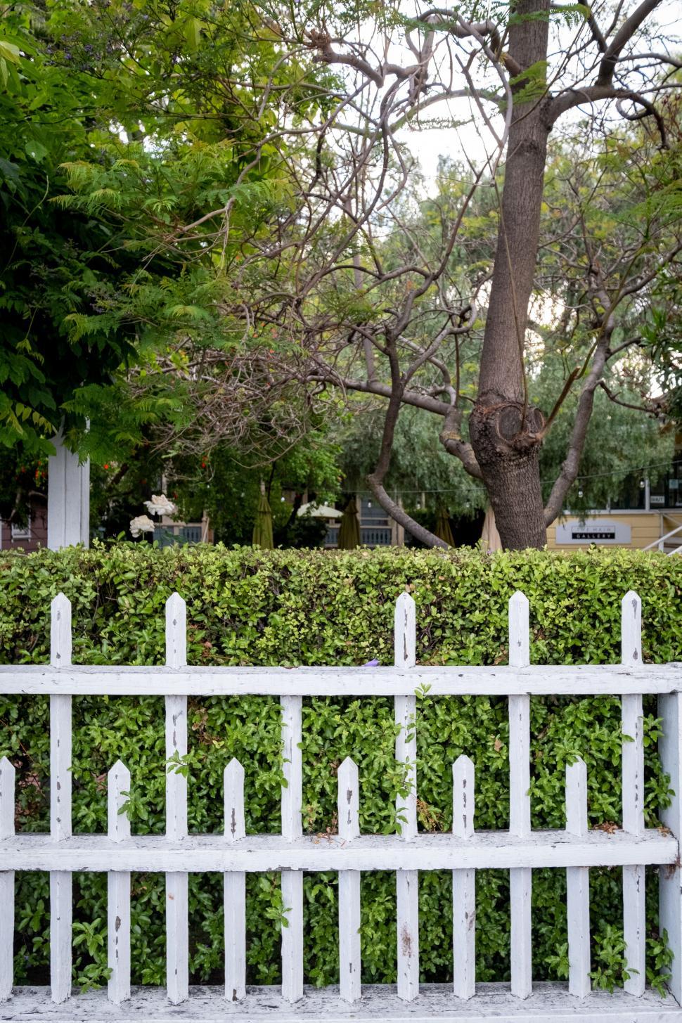 Free Image of White picket fence with lush greenery and tree 
