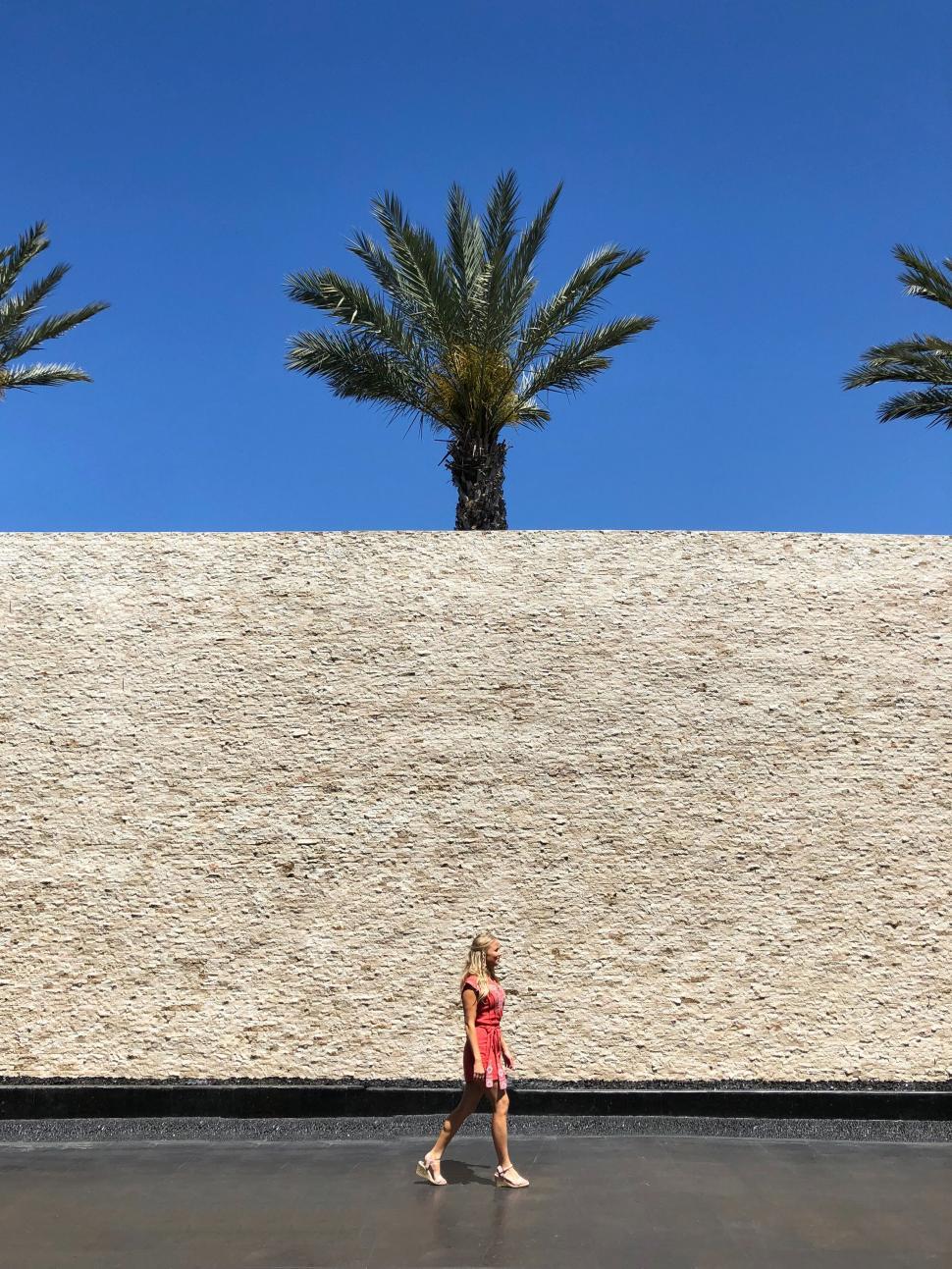 Free Image of Woman walking by a palm tree and stone wall 