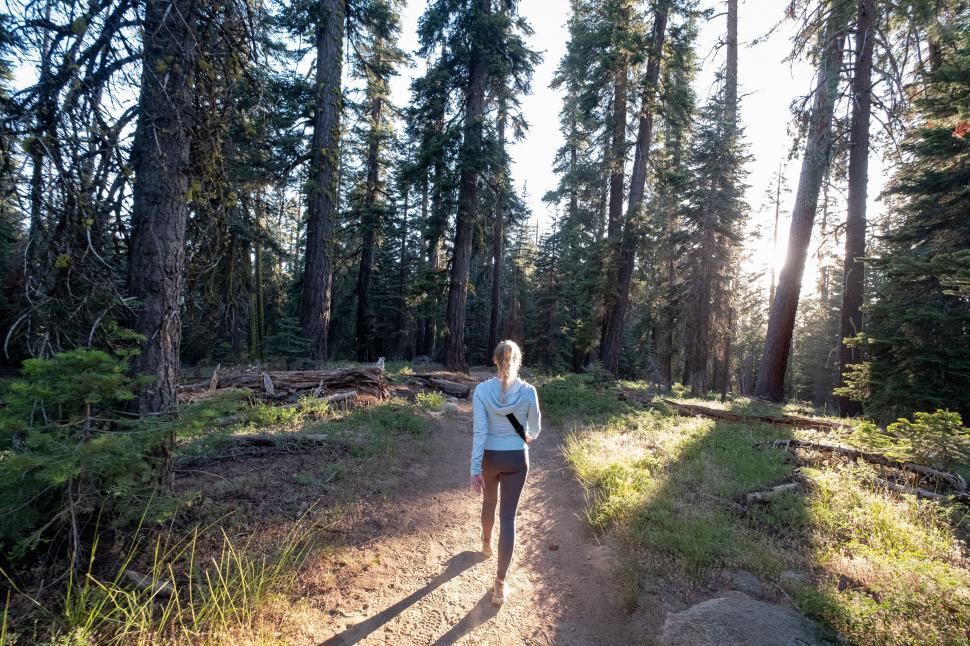 Free Image of Woman hiking in forest at sunset 