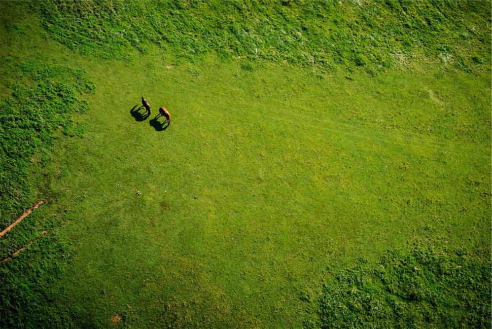 Free Image of Two people and their shadows on grassland 