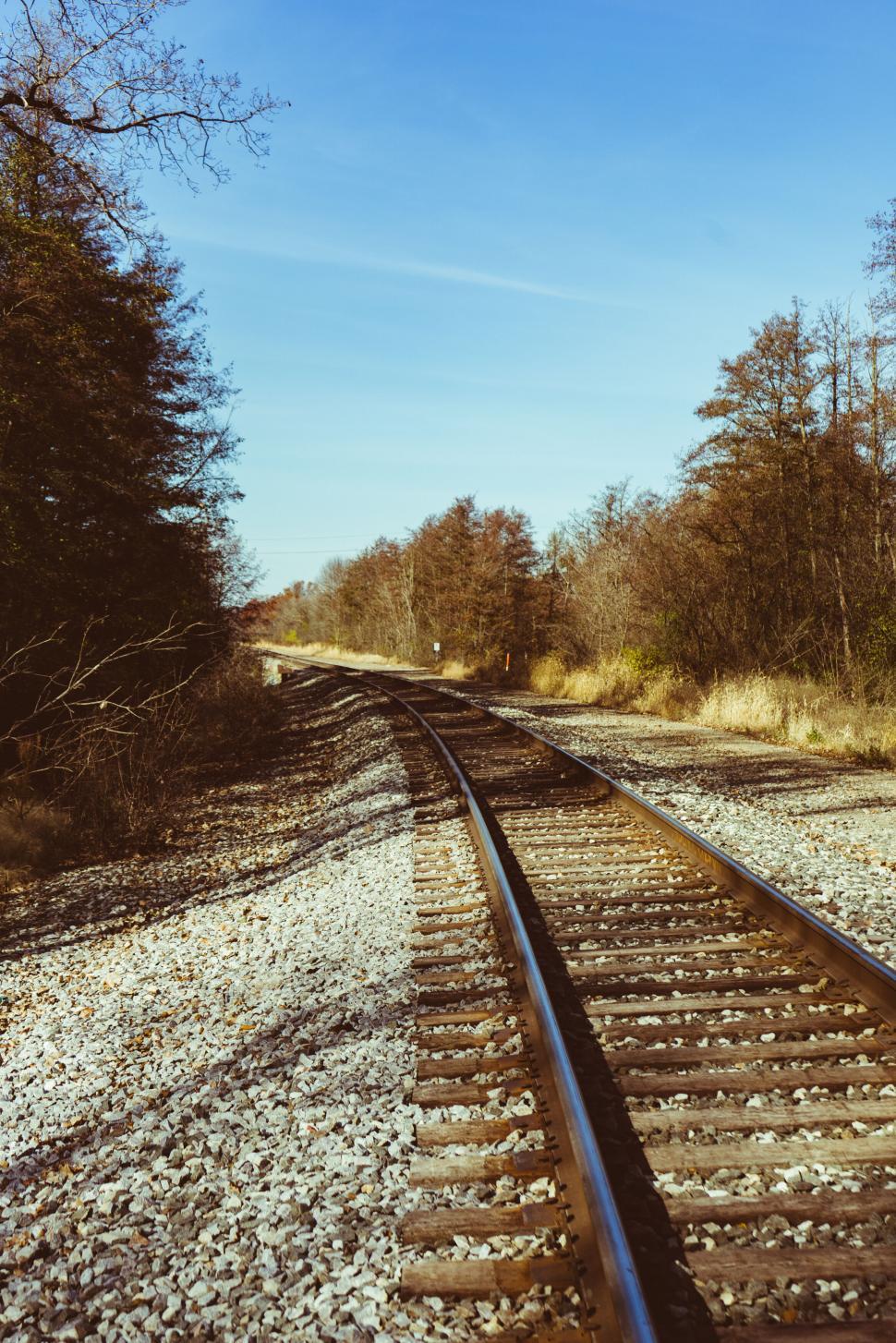 Free Image of Curving railroad tracks amidst serene nature 