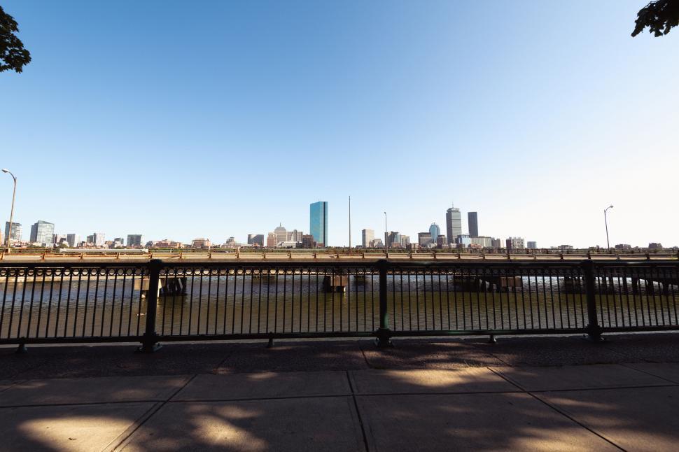 Free Image of Sunny city skyline viewed from a park 