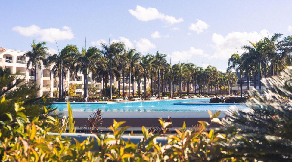 Free Image of Tropical resort pool with vibrant palm trees 
