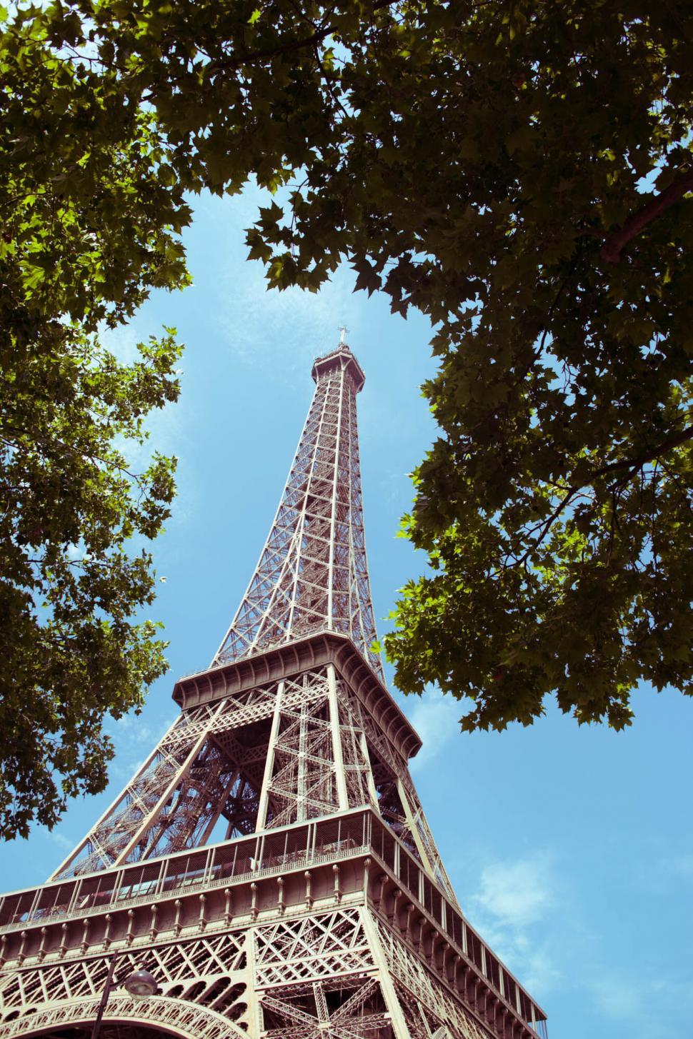 Free Image of Eiffel Tower peering through green leaves 