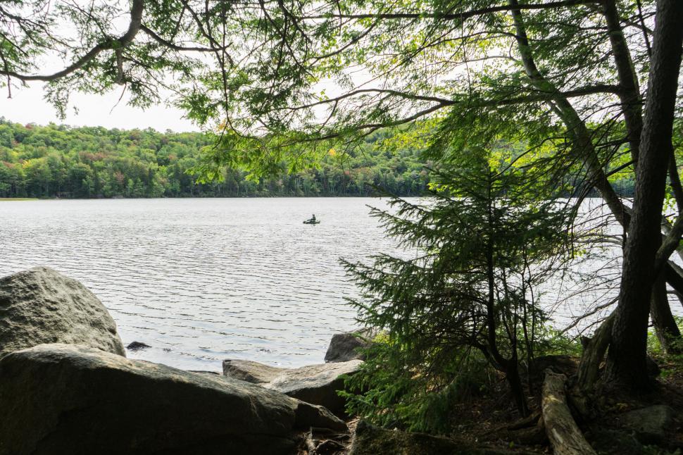 Free Image of Serene lake scene with kayaker and foliage 