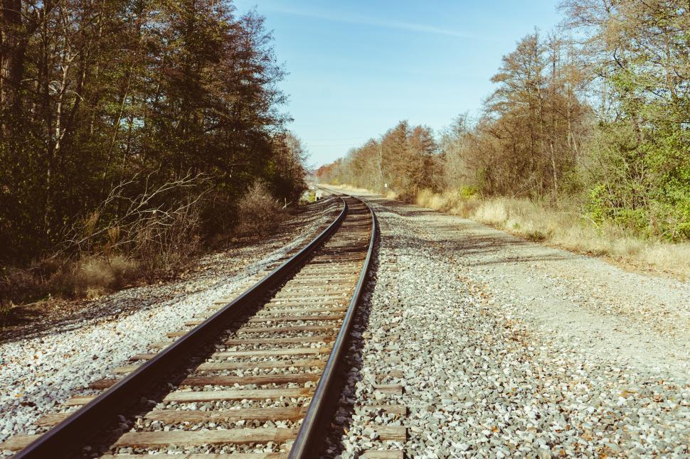 Free Image of Tranquil scene of a railway track in forest 