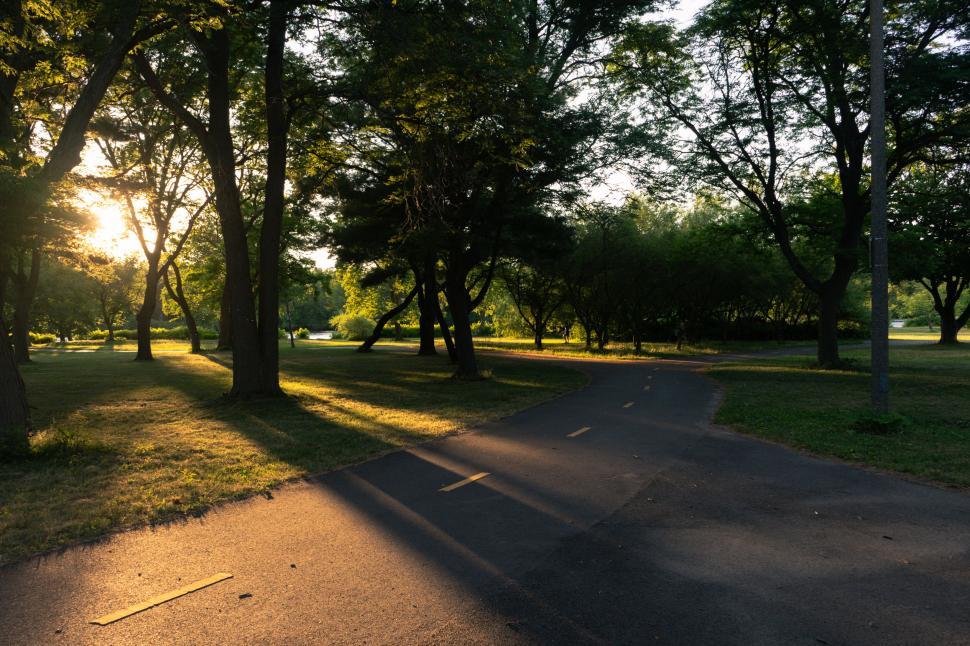 Free Image of Peaceful park path with morning sunlight 