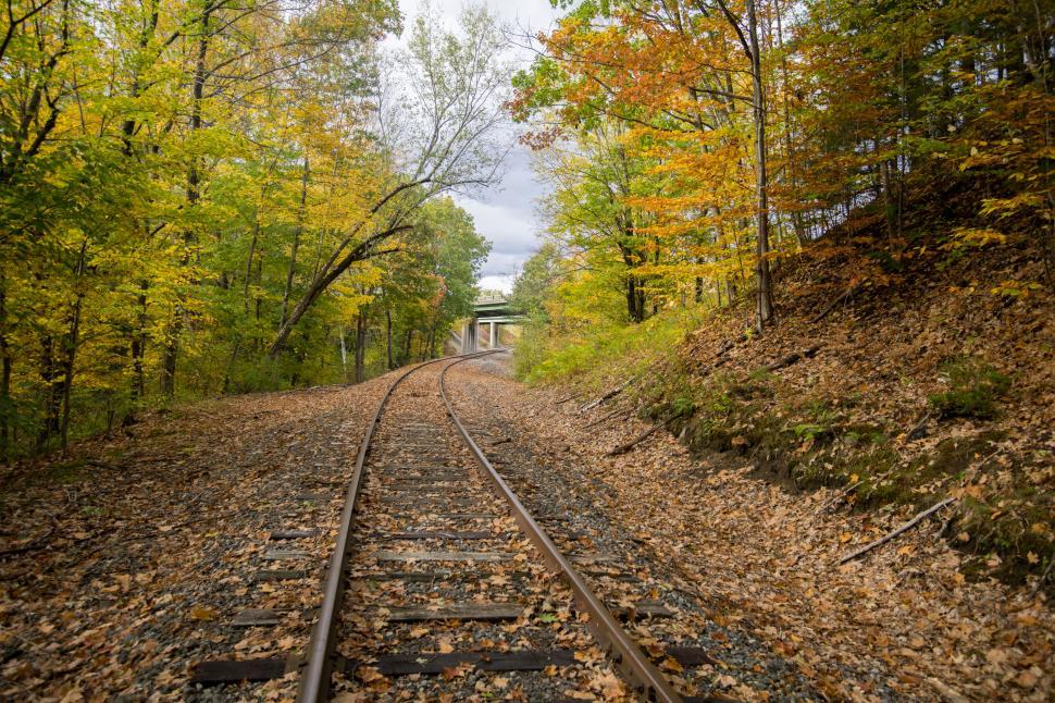 Free Image of Autumnal train tracks through wooded area 