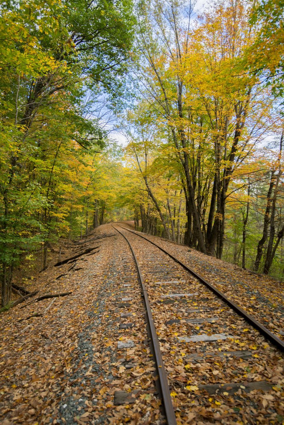 Free Image of Autumn railway path in a forest setting 