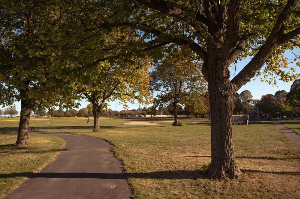 Free Image of Park scene with large tree and walking path 