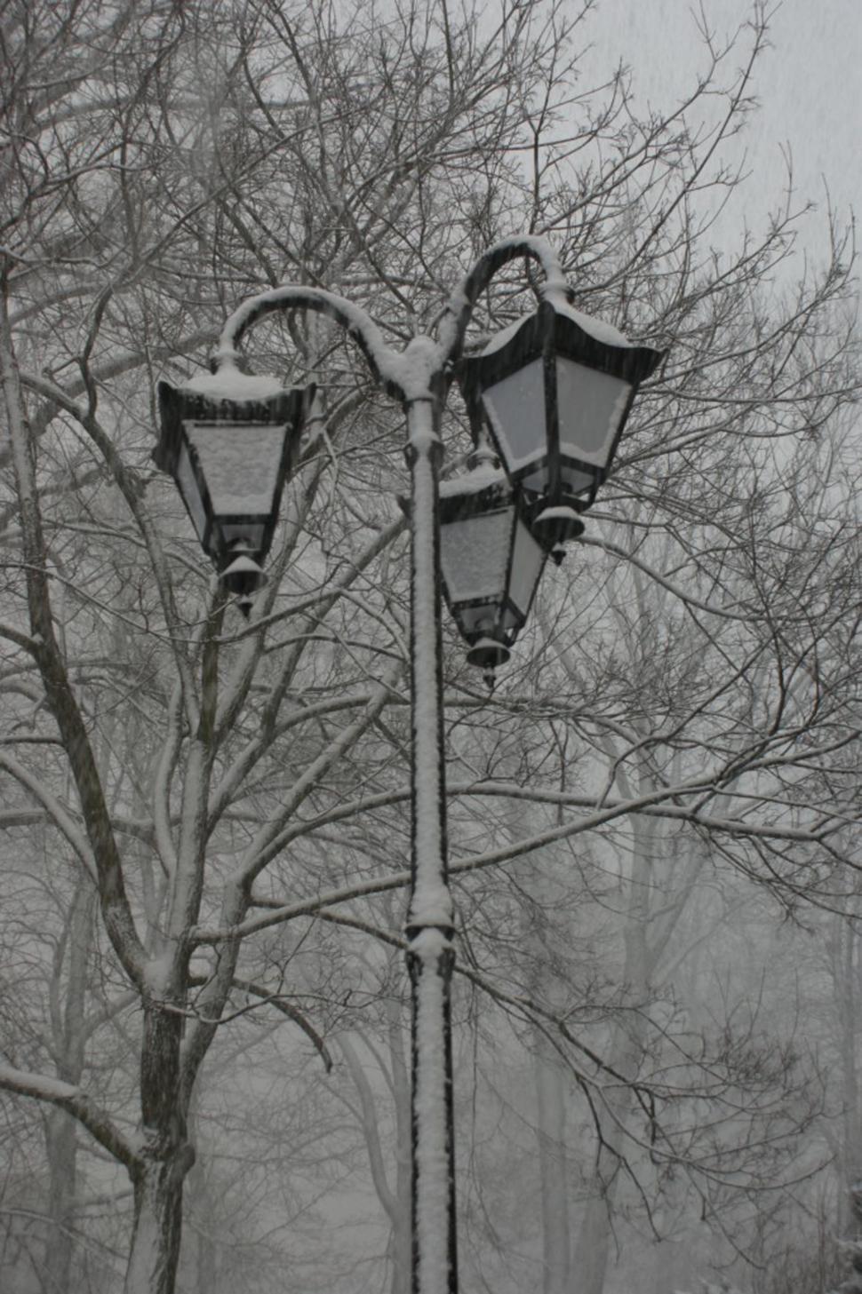 Free Image of Snow covered lamppost 