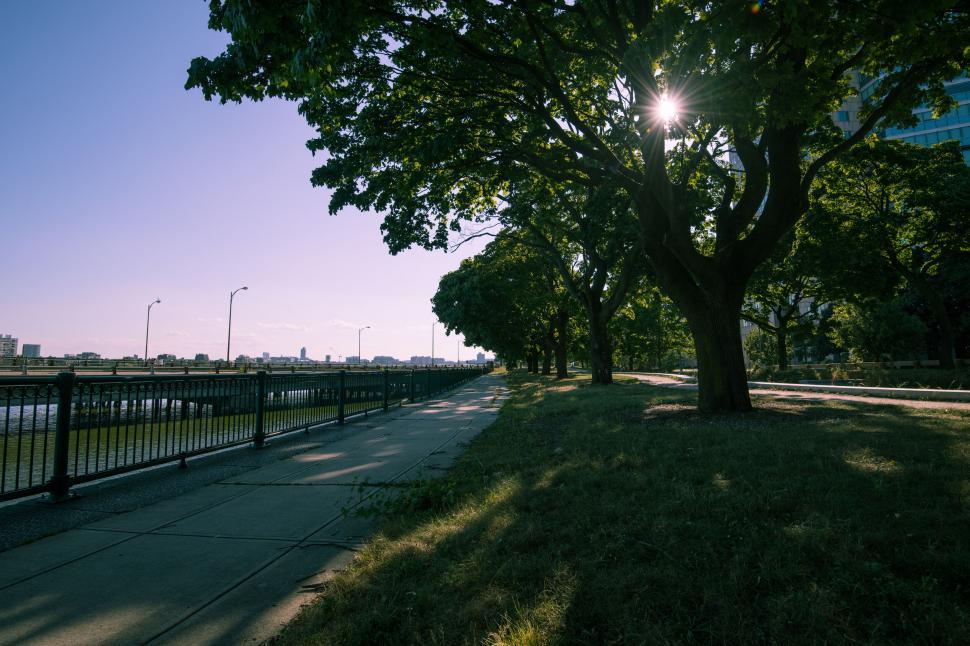 Free Image of Tree-lined sidewalk by the waterfront at sunset 