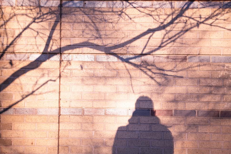 Free Image of Shadow and silhouette on a brick wall 