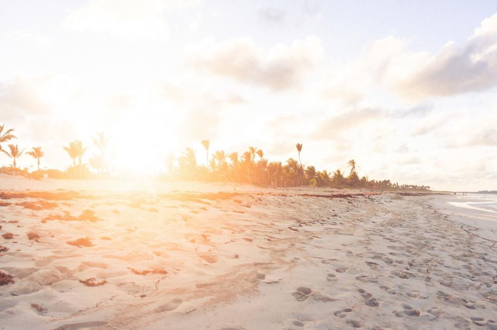 Free Image of Bright tropical beach with sun flare 