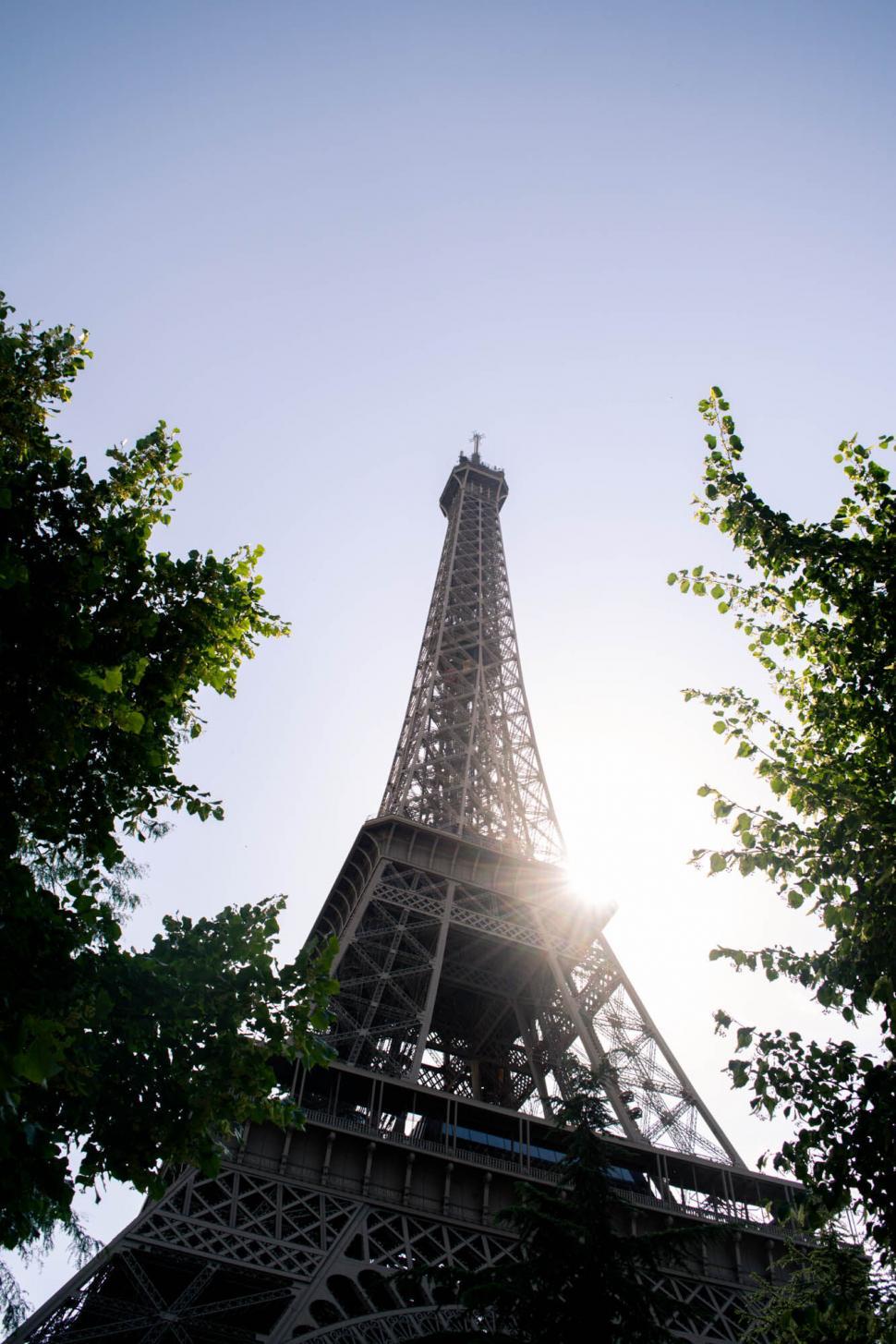 Free Image of Iconic Eiffel Tower among green foliage 