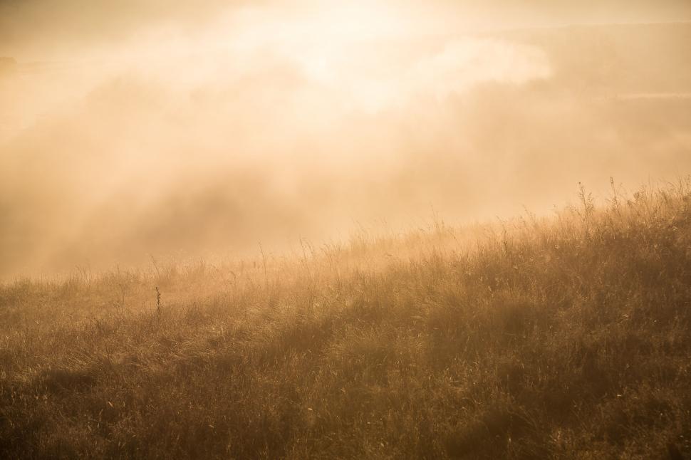 Free Image of Golden mist over a sunlit rolling countryside 