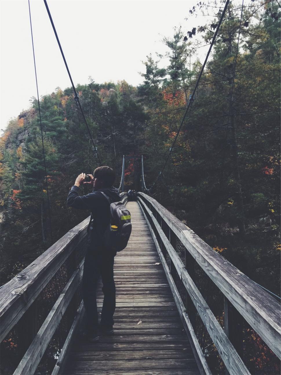 Free Image of Photographer capturing scenic bridge in forest 