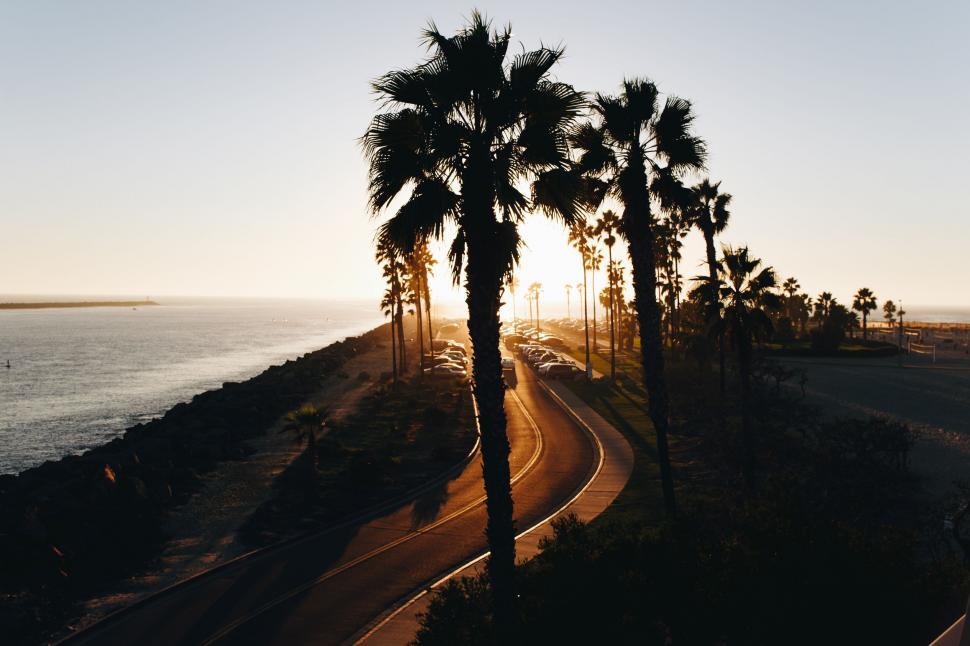 Free Image of Sunset view over a seaside palm tree lined road 