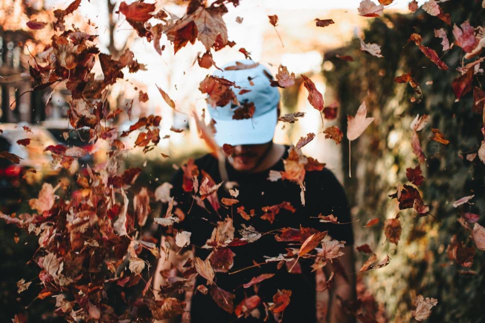 Free Image of Person hidden by flying autumn leaves 