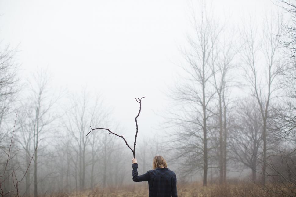 Free Image of Person holding a branch in misty forest 