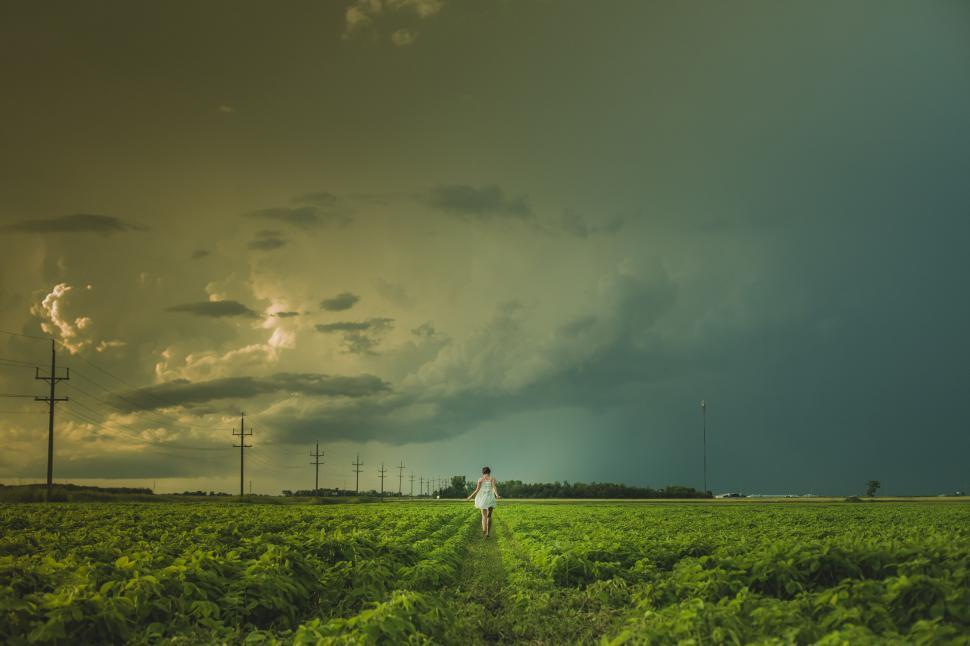 Free Image of Man in field watching a storm approach 