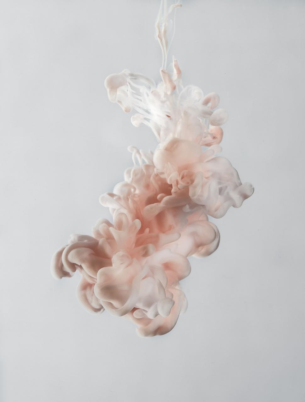 Free Image of Elegant smoke swirls floating on white background 