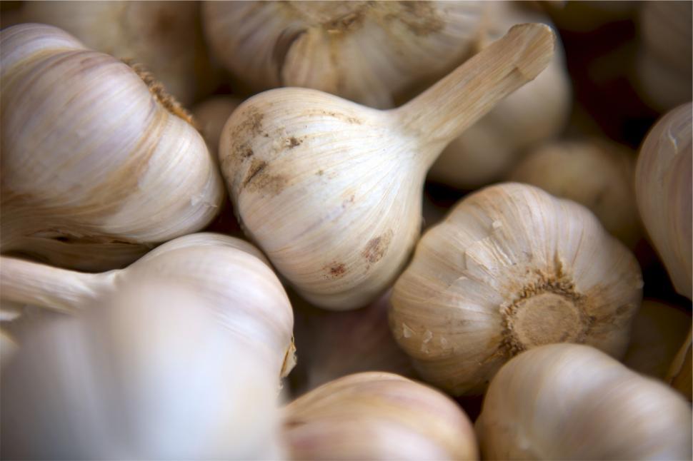 Free Image of Close-up of fresh garlic bulbs on display 