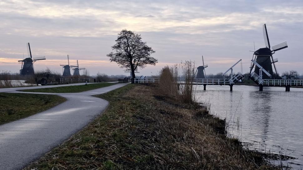 Free Image of Windmills lining a Dutch waterway at dusk 