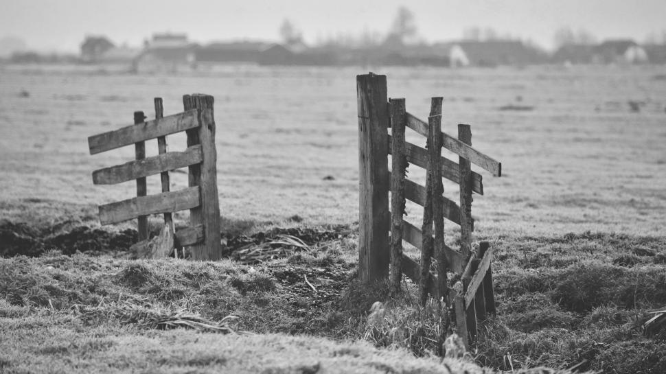 Free Image of Old broken wooden fence in misty field 