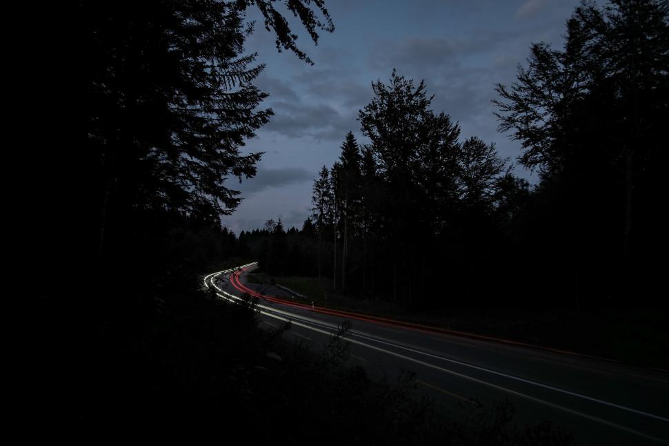 Free Image of Nighttime road with light trails in a forested area 