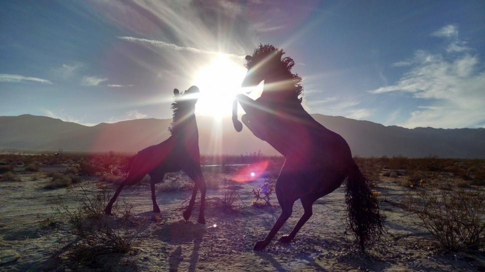 Free Image of Silhouettes of horses at sunset in desert 