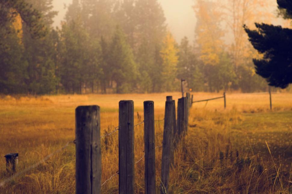 Free Image of Fog-covered field with wooden fence 