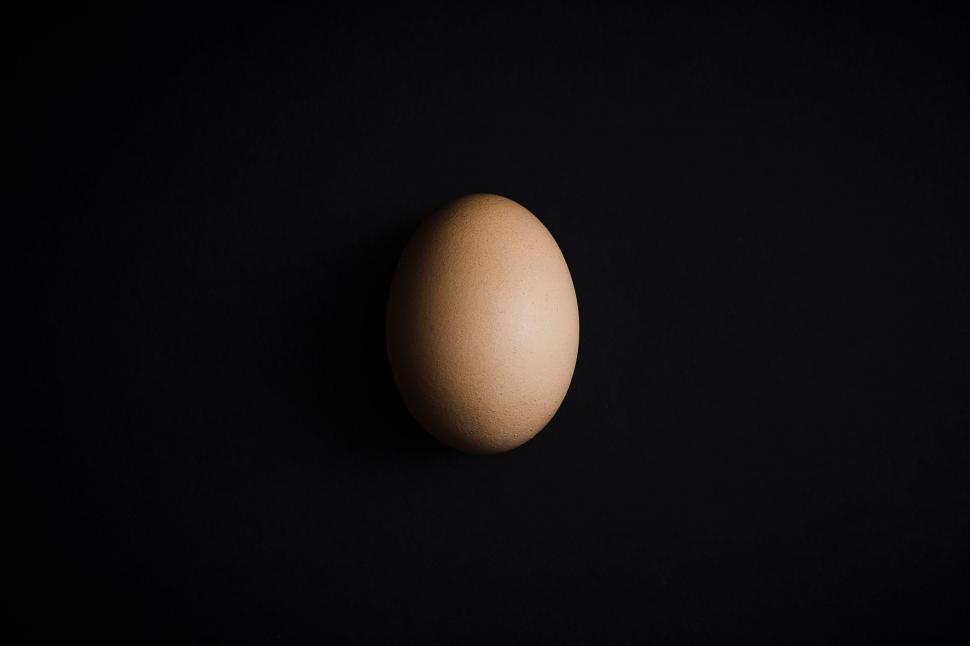 Free Image of Single brown egg on dark background 