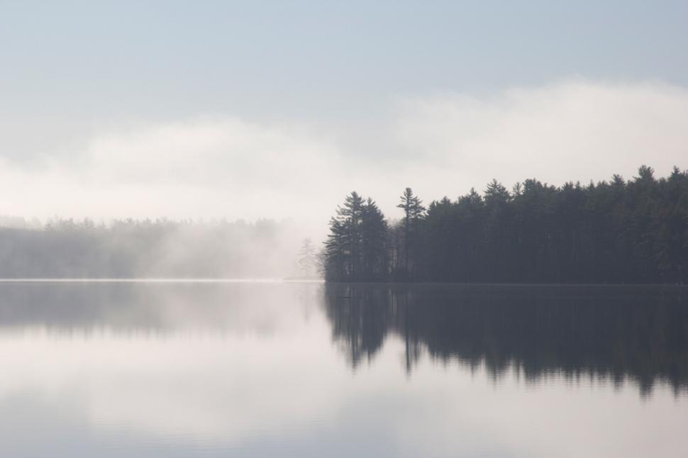 Free Image of Serene, foggy lake surrounded by forest 