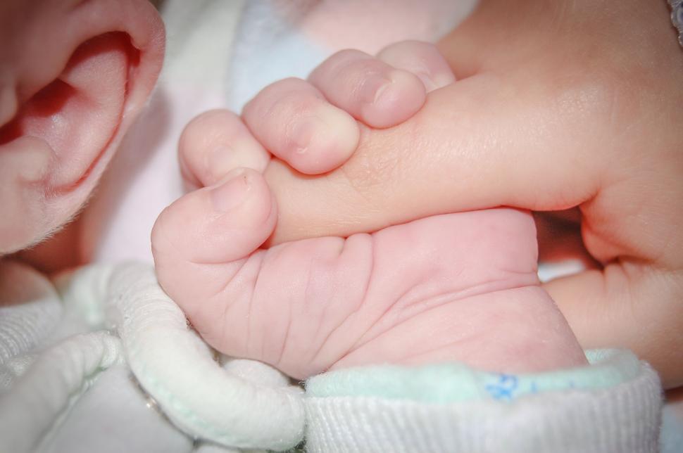 Free Image of Close-up of a baby hand holding an adult hand 