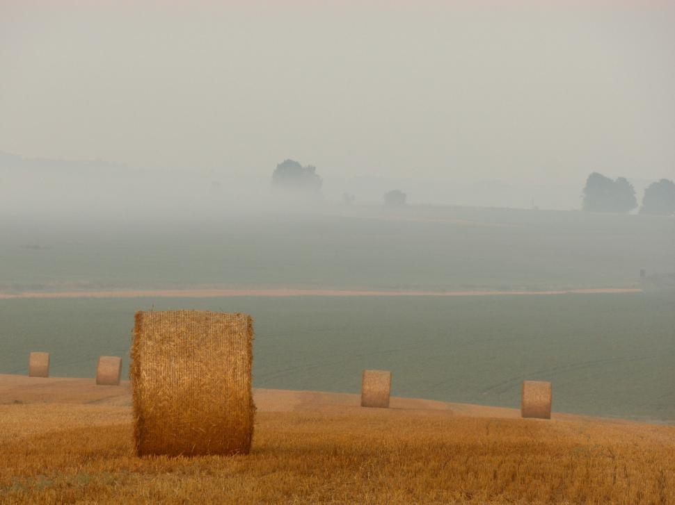 Free Image of Bales of hay in misty golden field at dawn 