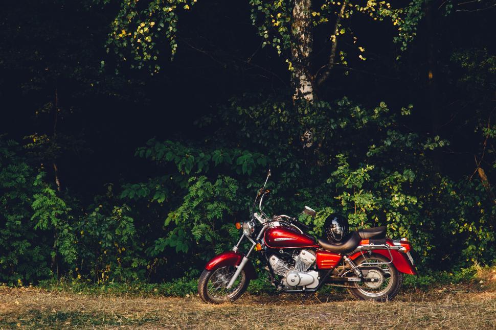 Free Image of Motorcycle parked in a lush green forest clearing 