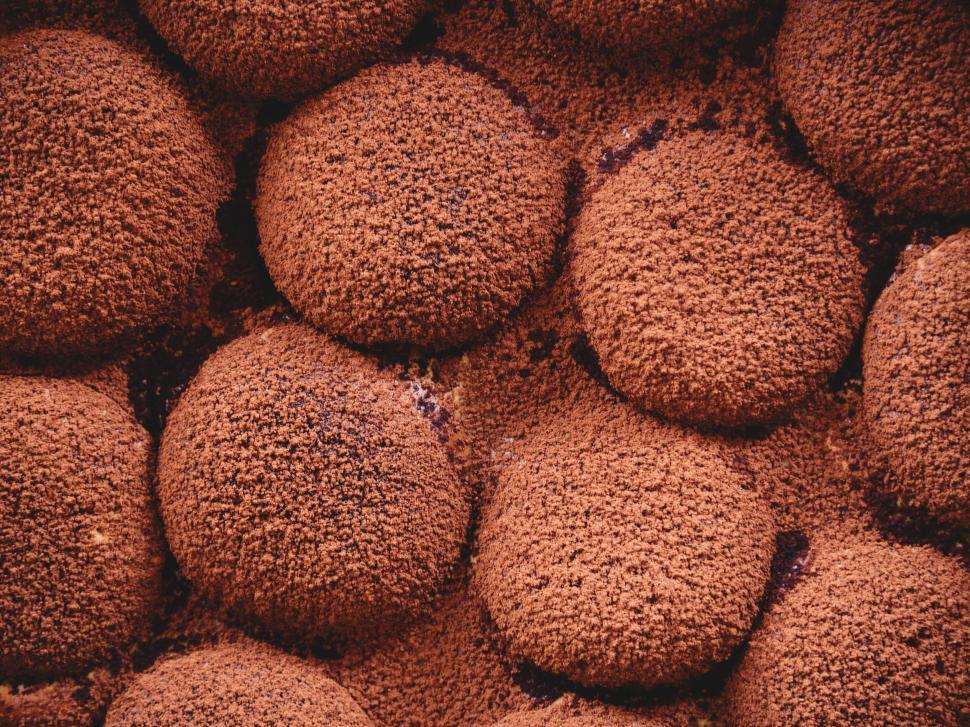 Free Image of Close-up of textured brown mushroom caps 