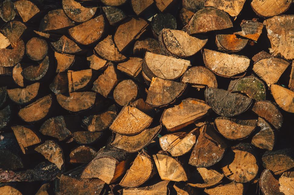 Free Image of Textured stacked firewood close-up 