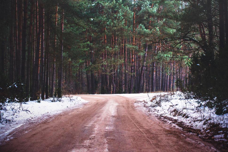Free Image of Forest road with snow patches in winter 