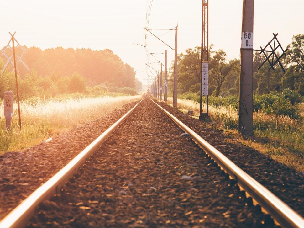 Free Image of Railroad tracks stretching into the horizon 