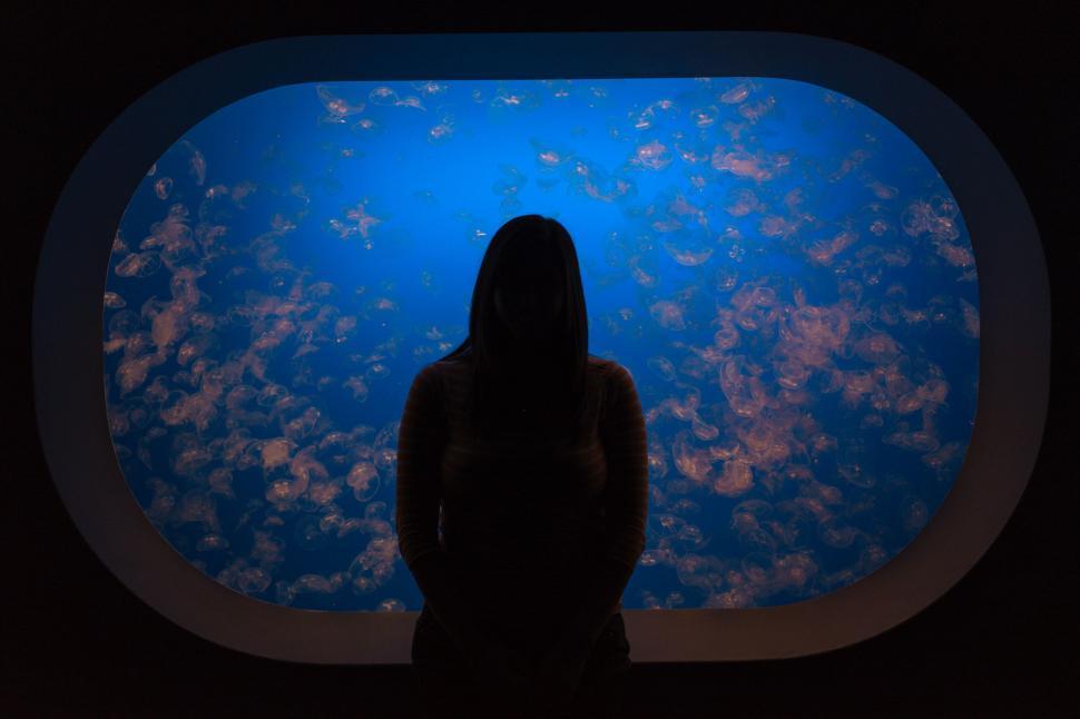 Free Image of Silhouette of Woman Watching Jellyfish in Aquarium 