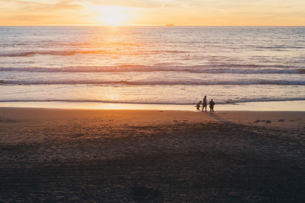 Free Image of Sunset View at Beach with People and a Dog 
