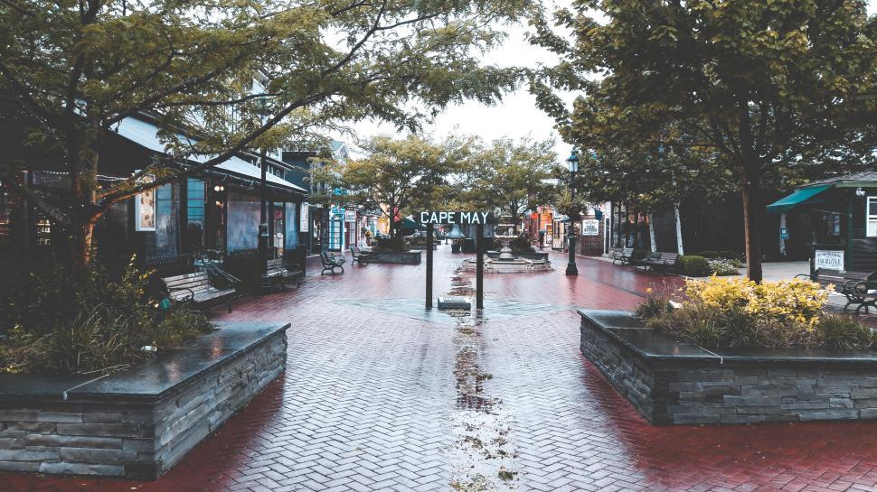 Free Image of Peaceful street view of Cape May on a rainy day 
