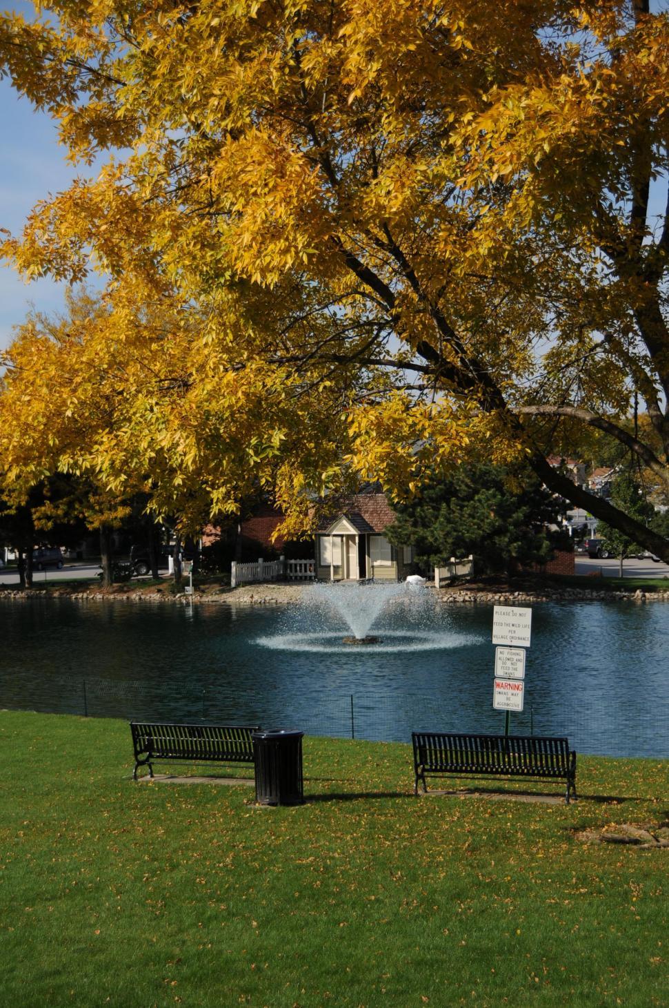 Free Image of Park in autumn 
