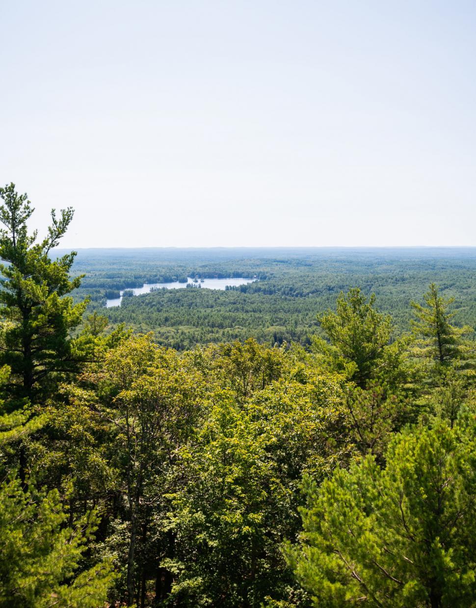 Free Image of Lush green forest with distant lakes in view 