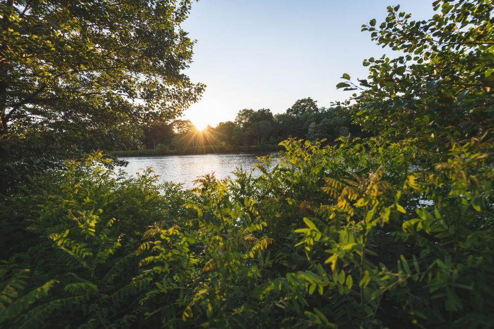 Free Image of Sunset over a lake seen through the foliage 