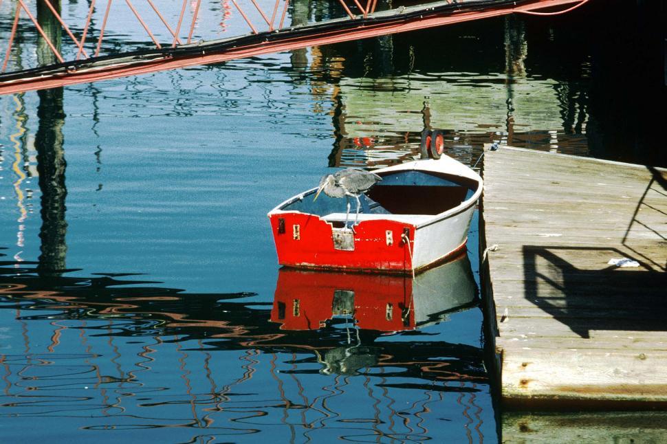 Free Image of boat great blue heron rowboat floating moored docked water bird animal 